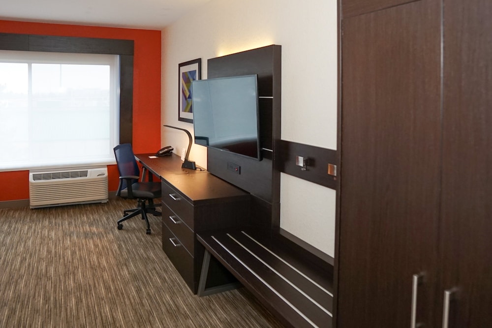 Holiday Inn Express & Suites Denver Aurora Medical Campus - photo 170