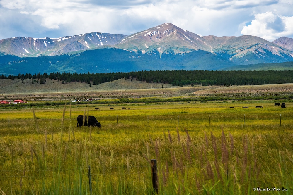 Tiny House Leadville - photo 204
