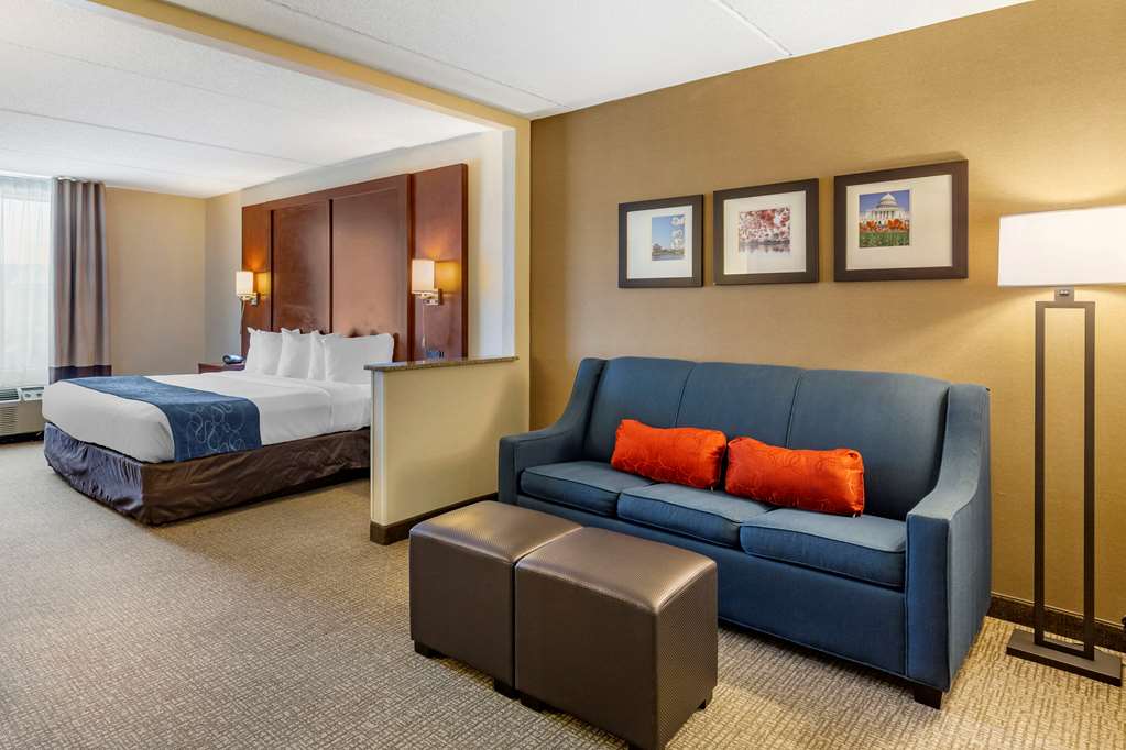 Comfort Suites Manassas Battlefield Park - photo 24