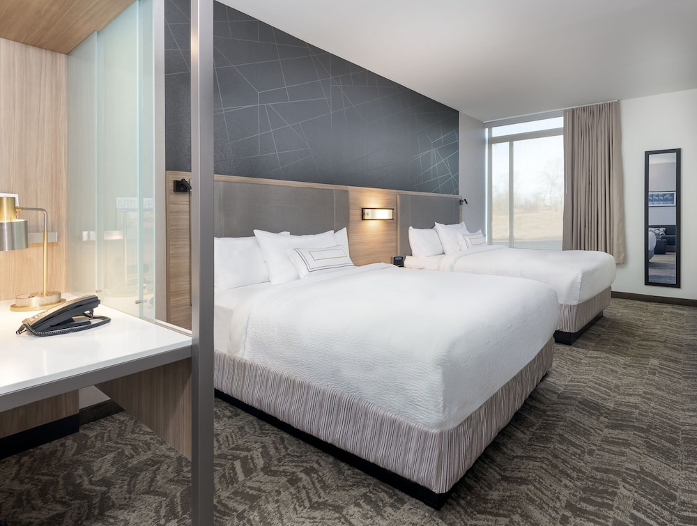 SpringHill Suites by Marriott Indianapolis Westfield - photo 4