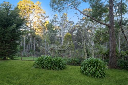 Our Glenbogle — Blackheath — photo 3