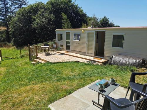 Meadow Bluebird in Bodmin, United Kingdom