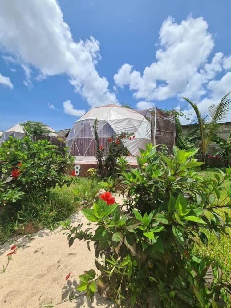 Paradise city in Zanzibar, Tanzania