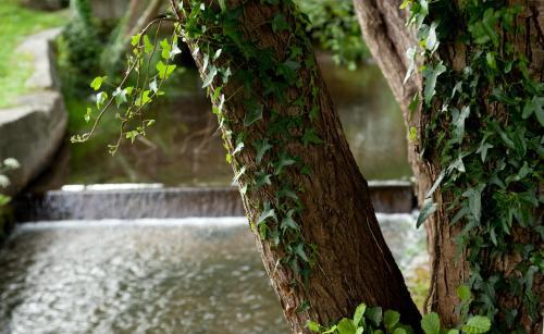 Hotel Balneario De Arteixo — Arteixo — photo 4