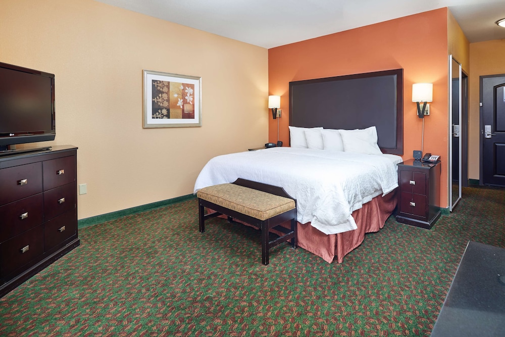 Hampton Inn & Suites Waco South - photo 21