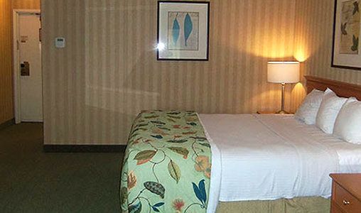 Sacramento Inn and Suites - photo 7