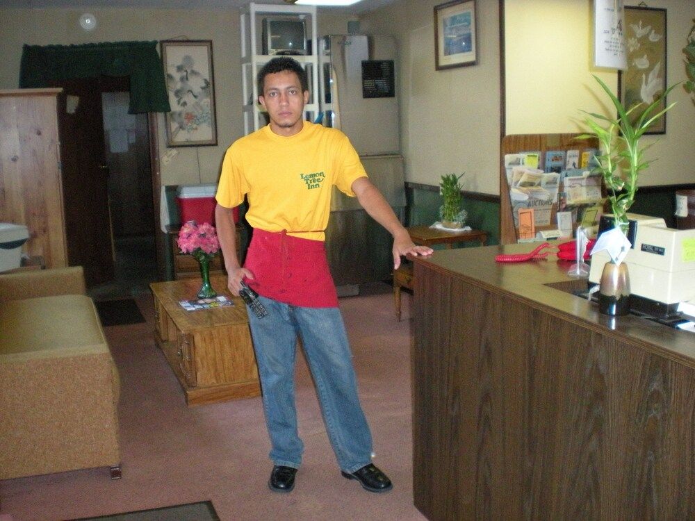 Lemon Inn - photo 4