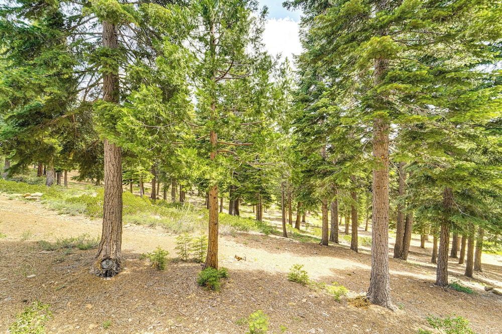Less Than 1 Mi to North Star Resort Condo with Balcony - photo 17