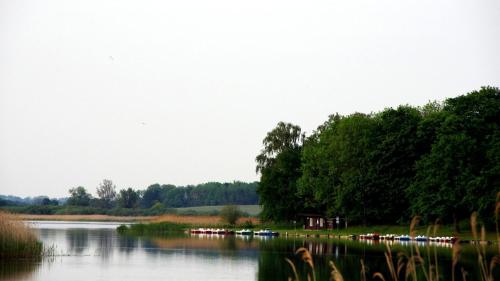 Ferienhaus — Teterow — photo 3