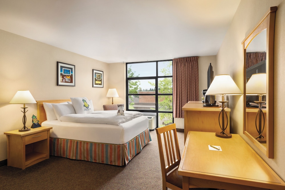 Staypineapple University Inn University District Seattle - photo 19