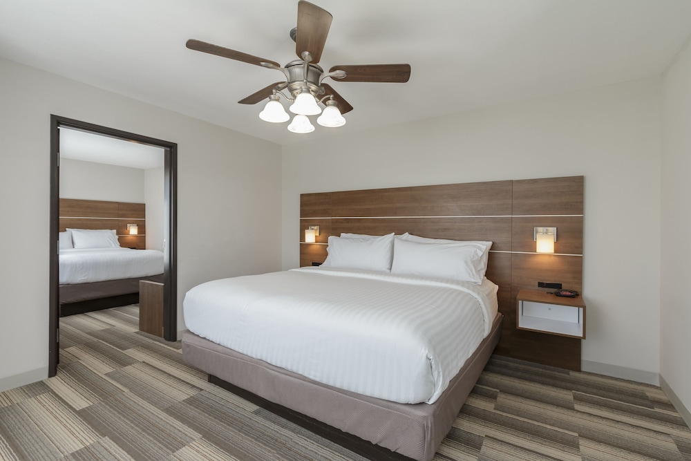 Holiday Inn Express Hotel & Suites South Bend by IHG - photo 44
