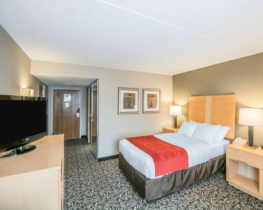 Comfort Inn NYS Fairgrounds - photo 8