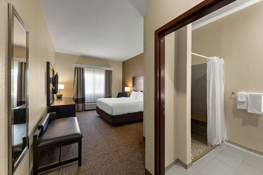 Comfort Inn & Suites Atoka - photo 6