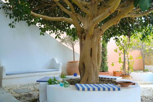Traditional house in Mitata next to the canyon — 4-Star Luxury Hotel in Kythira, Greece