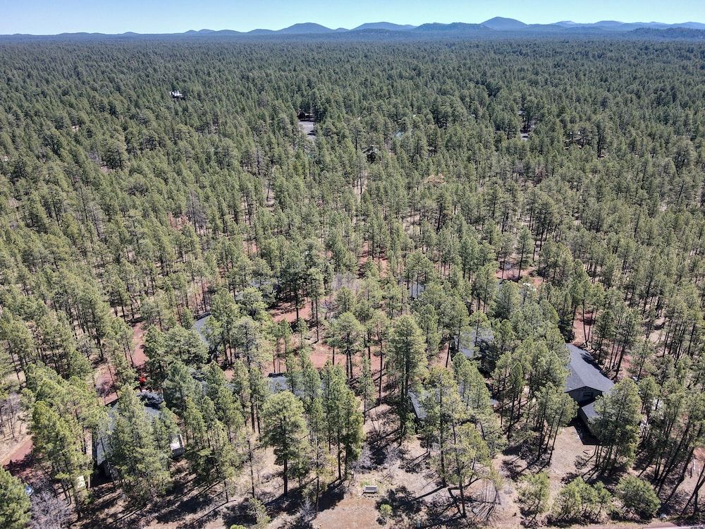 Buck Springs Resort - photo 11