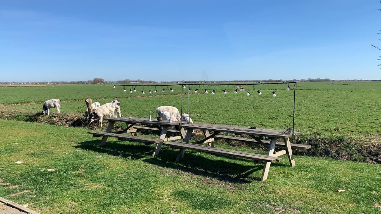 Luxe in stiltegebied tussen loslopende Alpaca s