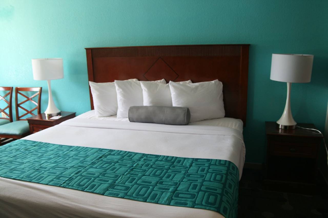 Moonlight Inn Hotel O Hattiesburg MS - photo 8