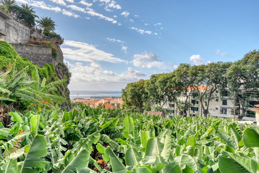 Villa Rosa a Home in Madeira — 4-Star Luxury Hotel in Funchal, Portugal