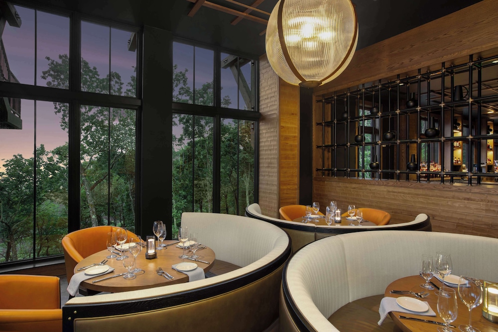 Cloudland at McLemore Resort Lookout Mountain Curio by Hilton - photo 172
