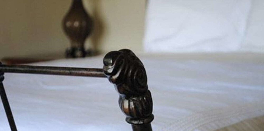 Princess Anne Boutique Hotel - photo 3