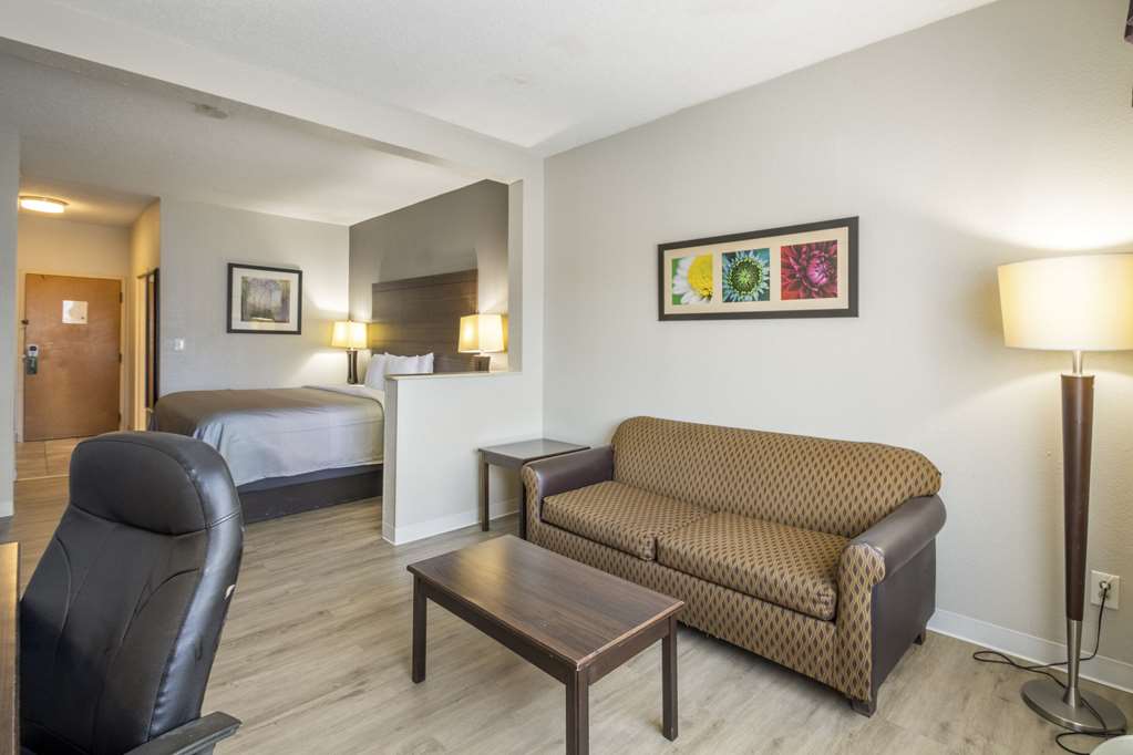 Quality Suites Hickory South - photo 7