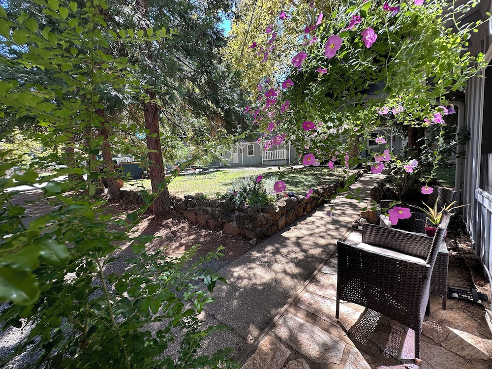 The Pines Inn and Cottages - photo 77