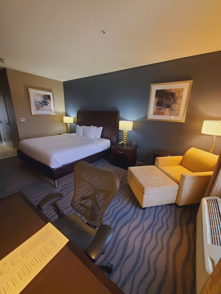Hilton Garden Inn Fort Worth Alliance Airport - photo 15