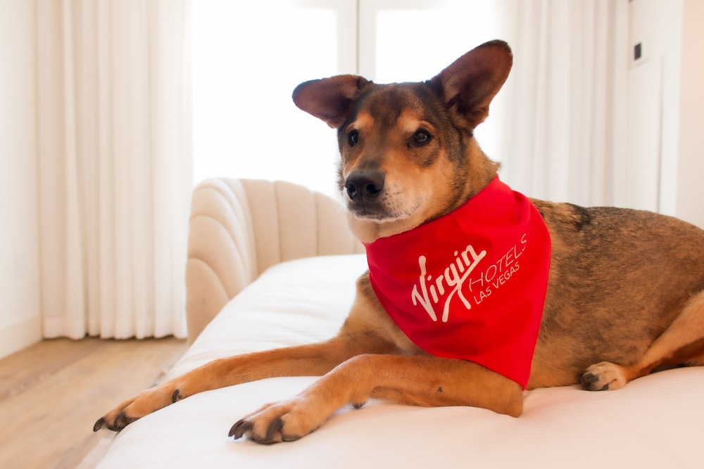 Virgin Hotel Las Vegas Curio Collection by Hilton - photo 11