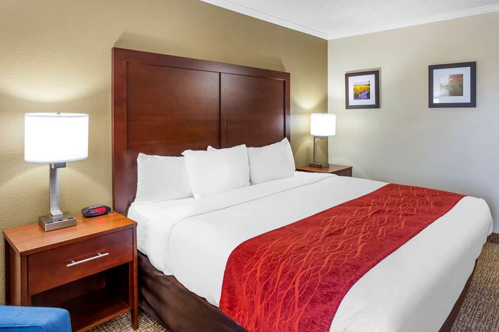 Comfort Inn Hoffman Estates Schaumburg - photo 11