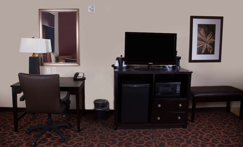 Hampton Inn & Suites Dickinson - photo 41