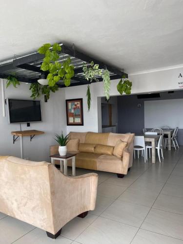 Eagle Wings in Margate, South Africa