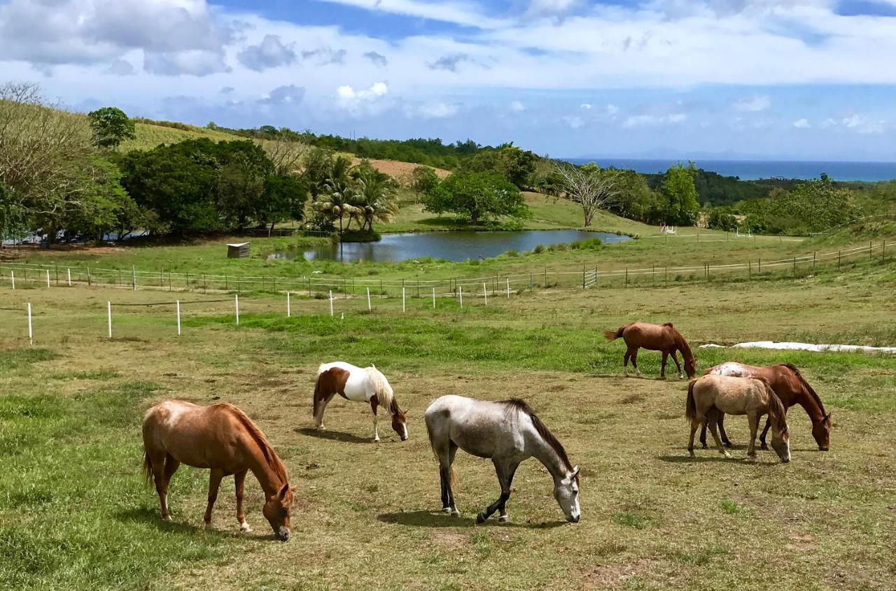 La Ferme des Etangs in Sainte-Luce, Martinique