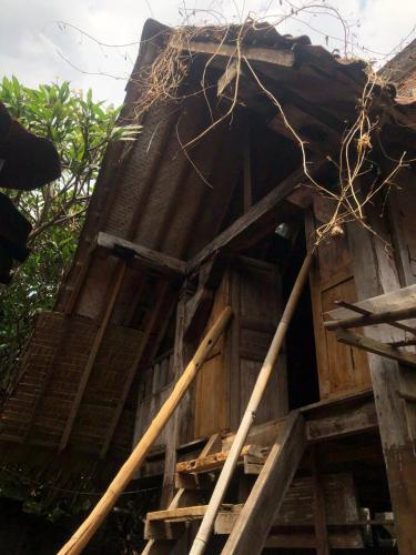 Omah Guyub — Yogyakarta — photo 2