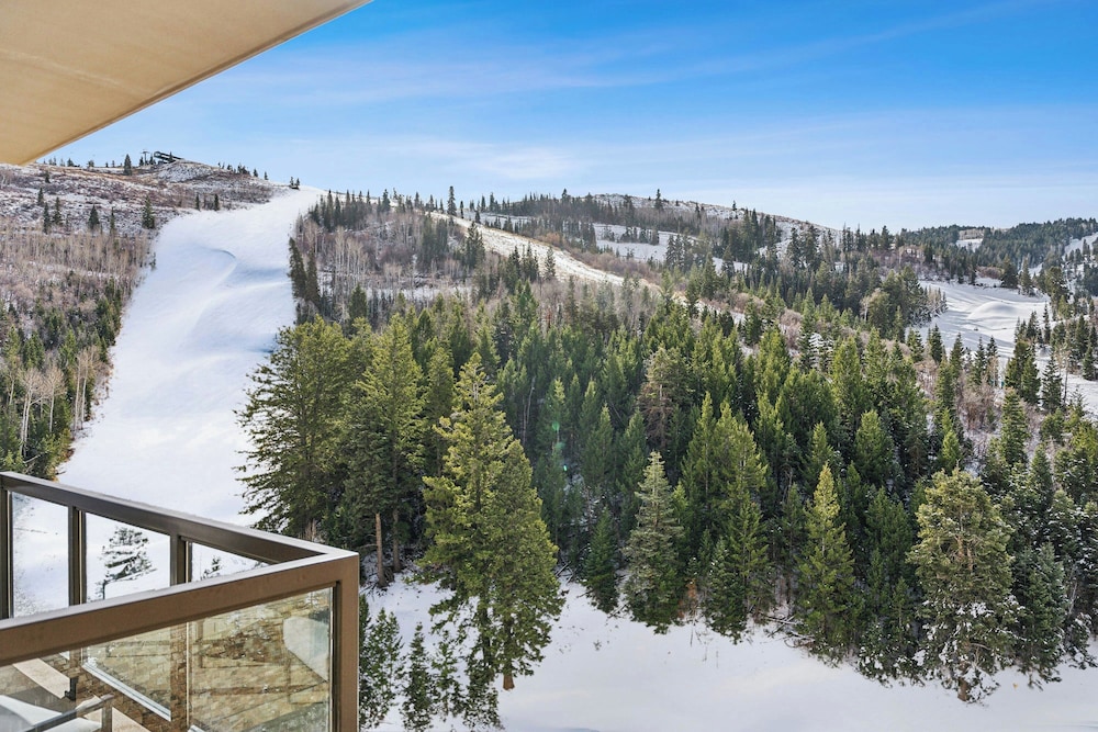 The St. Regis Deer Valley - photo 50