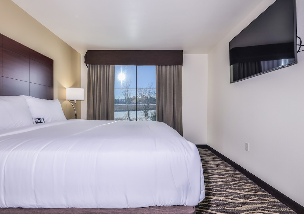 Cobblestone Hotel & Suites Rhinelander - photo 28