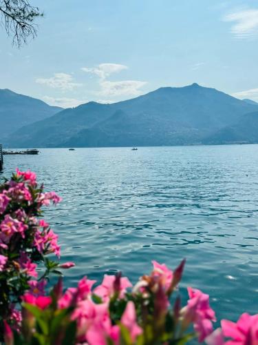 La Casetta di Laura intera casa indipendente a chi piace il silenzio vista lago 5 chilometri da Varenna — 4-Star Luxury Hotel in Lierna, Italy