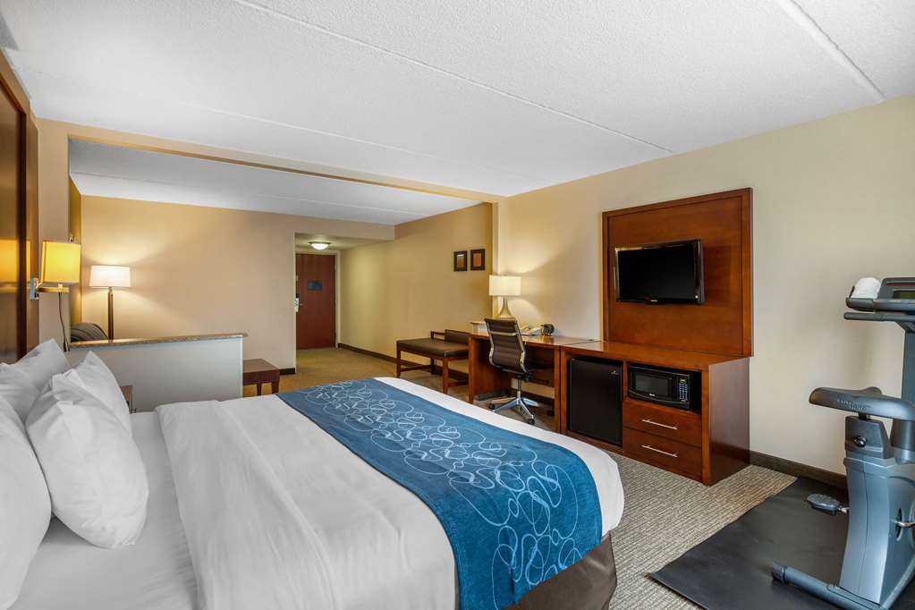 Comfort Suites Manassas Battlefield Park - photo 6