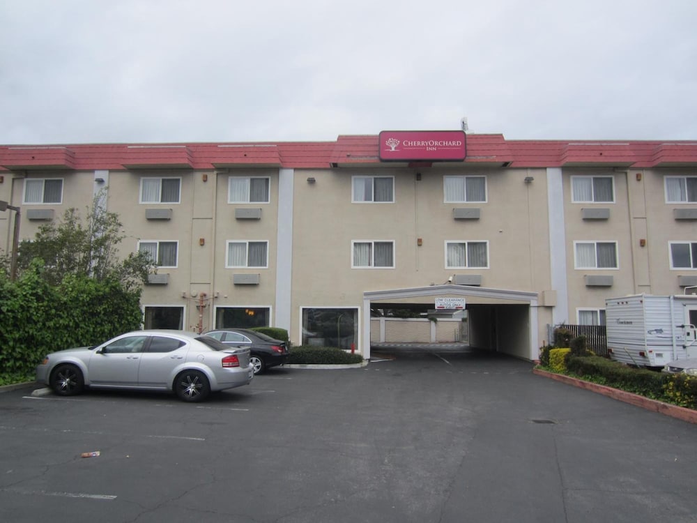 Cherry Orchard Inn - photo 39