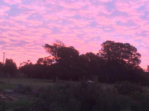 Bare Necessities Nudist Only Venue Naturist Clothes Free in Swellendam, South Africa