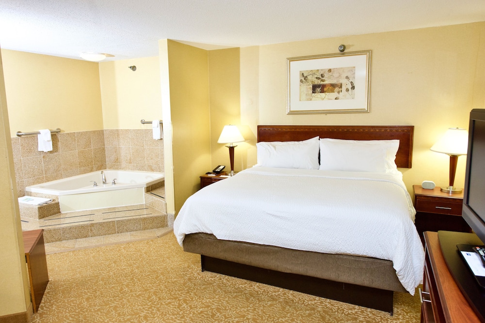 Holiday Inn Express & Suites St. Louis West Fenton by IHG - photo 26
