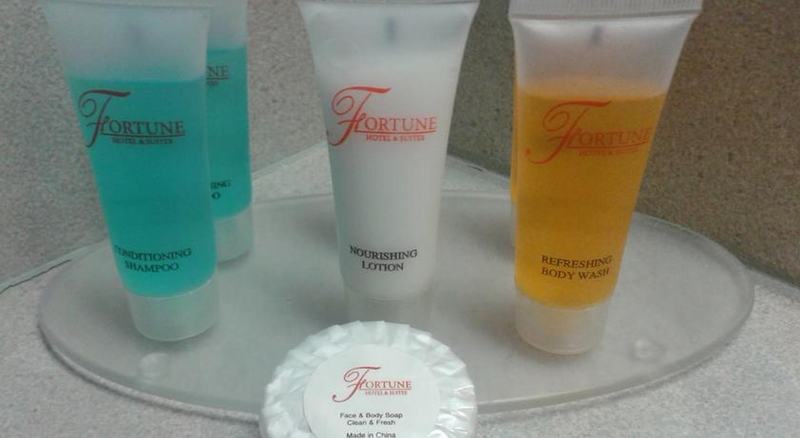 Rodeway Inn & Suites Las Vegas Strip - photo 10