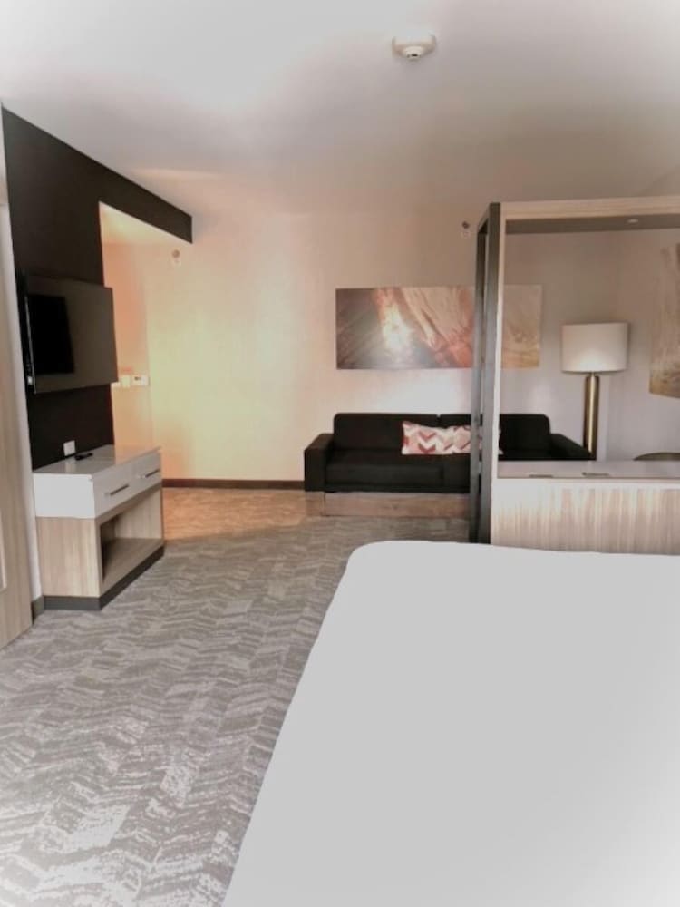 SpringHill Suites by Marriott Hampton Portsmouth - photo 7