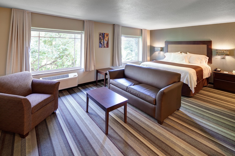 East Avenue Inn & Suites - photo 9