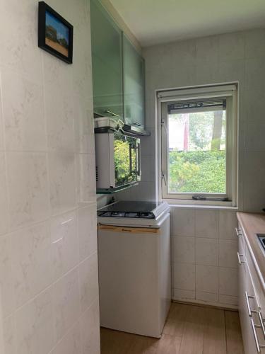 Bungalow Appelscha — Appelscha — photo 4