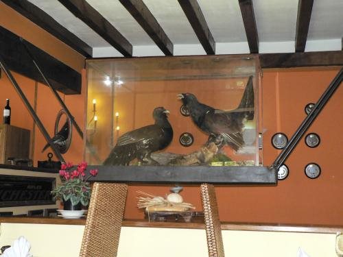 La Casona De Cosgaya — Camaleno — photo 4