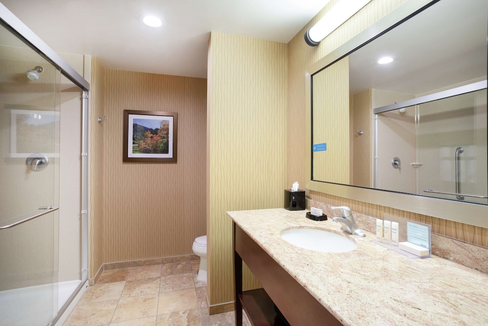 Hampton Inn & Suites Denver South RidgeGate - photo 43