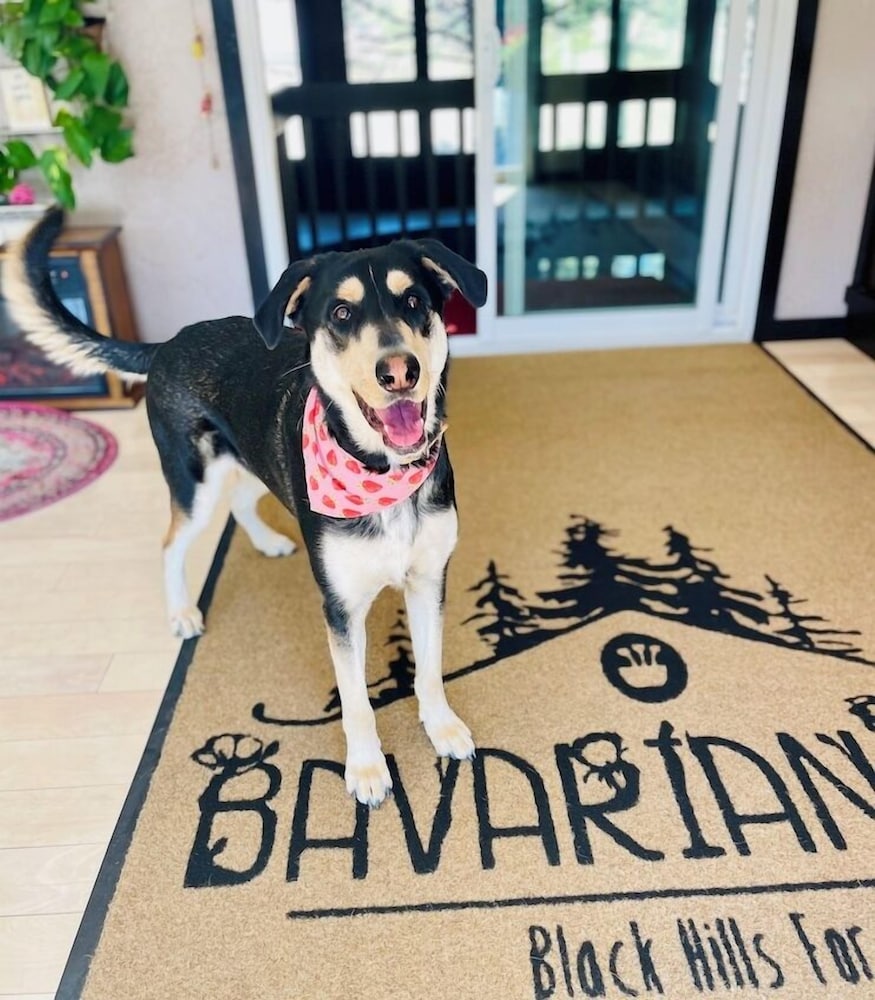 Bavarian Inn Black Hills - photo 16