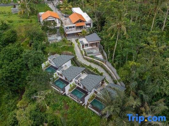 Micaela Bali Ubud Villas — 4-Star Luxury Hotel in Tegalalang, Indonesia