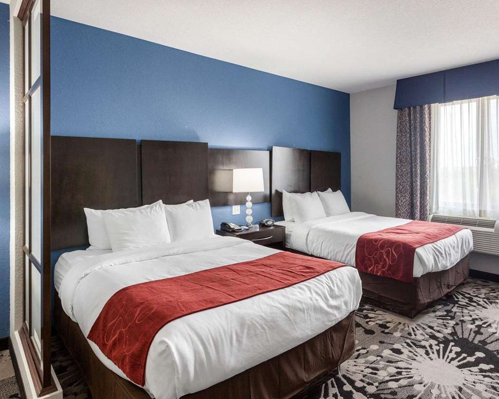 Comfort Suites Greenville - photo 10