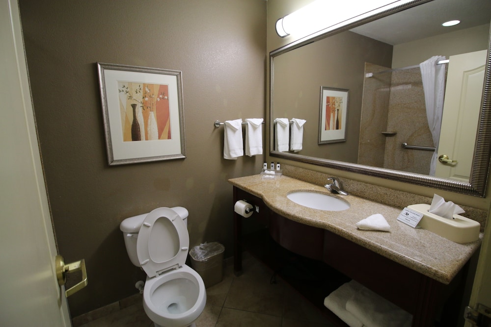 Seffner Inn and Suites - photo 43